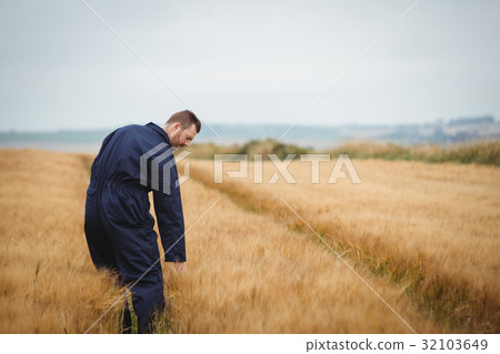Farmer checking his crops 32103649