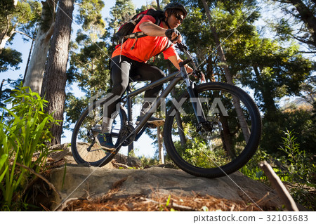 Male mountain biker riding bicycle in the forest 32103683