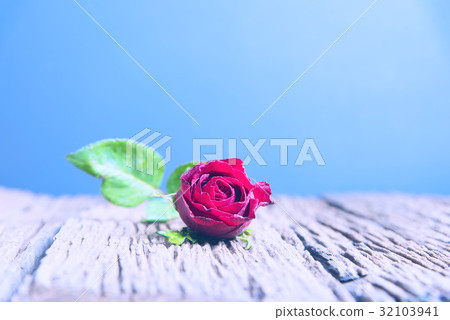 Red roses on wood Red roses on wood 32103941