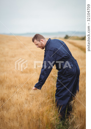 Farmer checking his crops 32104709