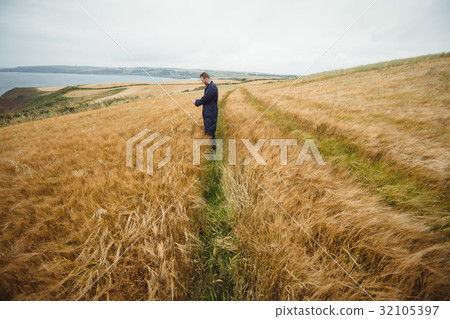 Farmer checking his crops in the field 32105397