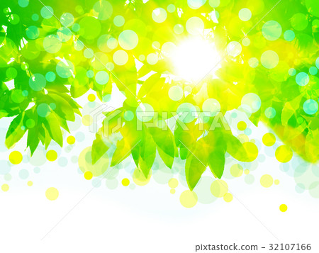 Eco image of tree leakage day 32107166