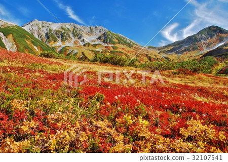 Autumn color Tateyama Autumn color Tateyama 32107541