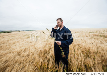Farmer examining crops while talking on mobile phone in the field 32107591
