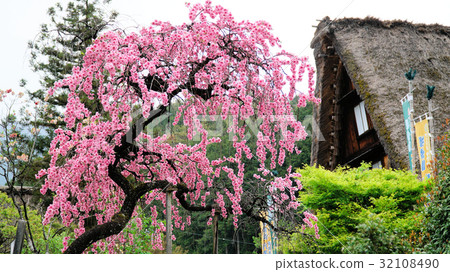 Gero Hot Spring Village 32108490