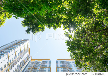 Looking up at tree and building 32108600