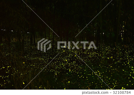 Flying firefly ball Flying firefly ball 32108784