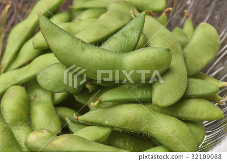 毛豆肥皂 32109088