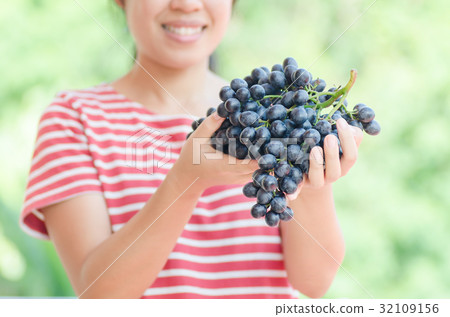 Woman holding red grape in hand,Grape harvest Woman holding red grape in hand,Grape harvest 32109156
