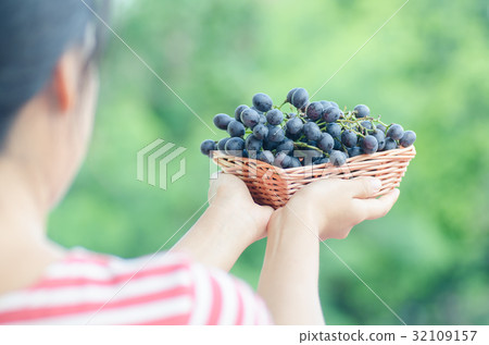 Woman holding red grape in a basket 32109157