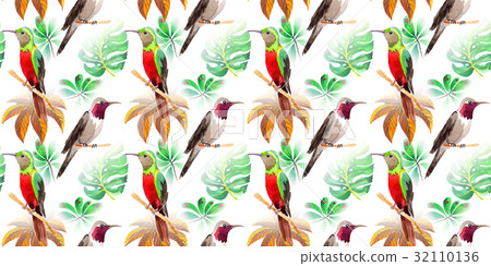 Sky bird colibri pattern in a wildlife by Sky bird colibri pattern in a wildlife by 32110136