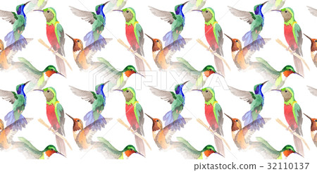 Sky bird colibri pattern in a wildlife by Sky bird colibri pattern in a wildlife by 32110137