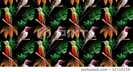 Sky bird colibri pattern in a wildlife by Sky bird colibri pattern in a wildlife by 32110139