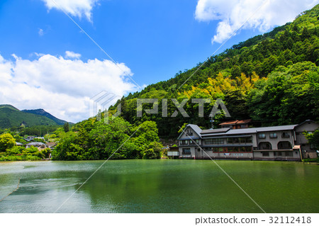 Yufuin fresh green gold scales 32112418