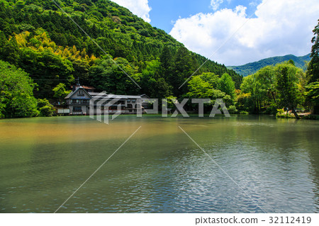 Yufuin fresh green gold scales 32112419