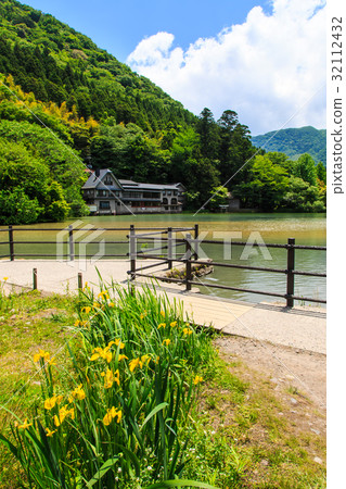 Yufuin fresh green gold scales 32112432