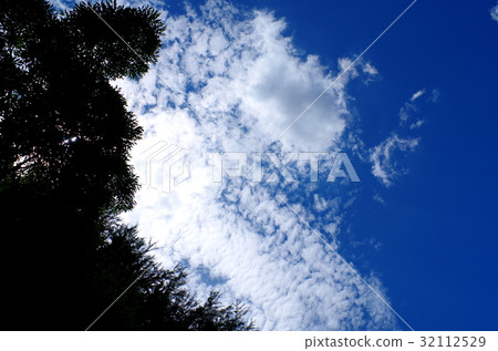 颱風藍天和白色雲彩和樹剪影水平 32112529