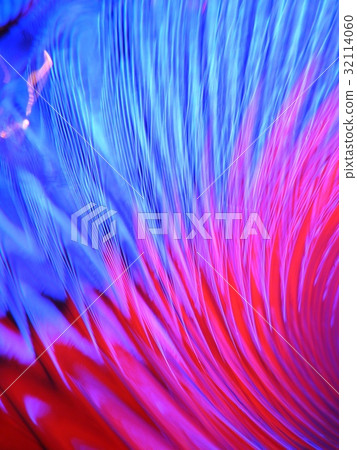 Abstract blurred light 32114060