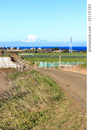 鄉村風景(神奈川縣,三浦,橫須賀,田野,冬季版) 鄉村風景(神奈川縣,三浦,橫須賀,田野,冬季版) 32115163