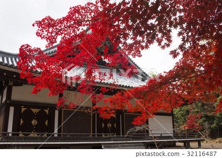 Autumn leaves of Ninna-ji Temple 32116487