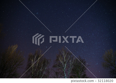 The Milky Way rises over the pine trees The Milky Way rises over the pine trees 32118020