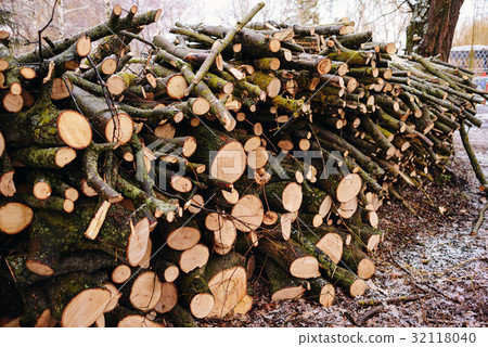 Pile of chopped fire wood prepared for winter 32118040