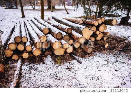 Pile of chopped fire wood prepared for winter 32118045