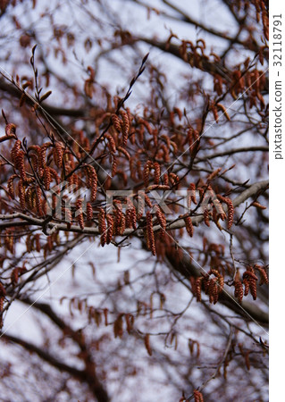 Buds of red four-sided handrails 32118791