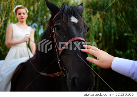 Portrait of a bride on horseback on the background Portrait of a bride on horseback on the background 32120106