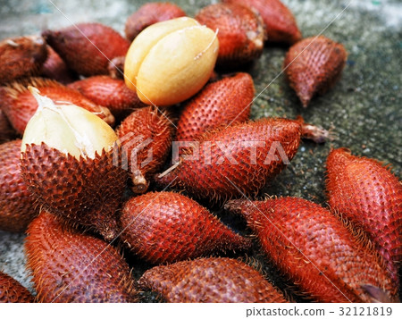Snake fruits Snake fruits 32121819