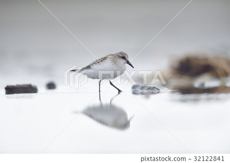 可愛的小鎮 32122841