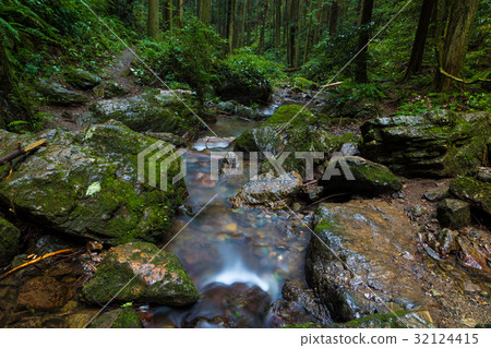 Mountain stream in the mountains · Saitama ken 32124415