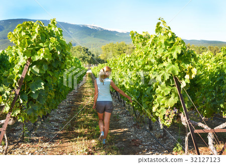 Blonde girl walks among the grapes in Provence Blonde girl walks among the grapes in Provence 32127123