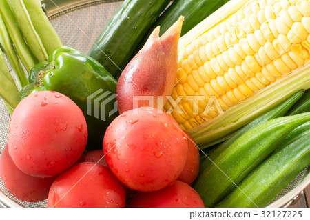 Summer vegetable Summer vegetable 32127225
