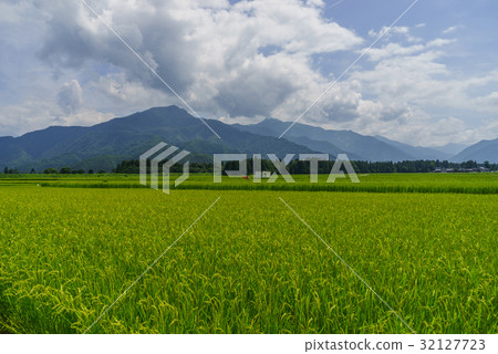 Countryside scenery of six-day town in summer 32127723