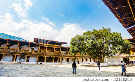 Punakha Bhutan and landscape plaza with tree 32128260