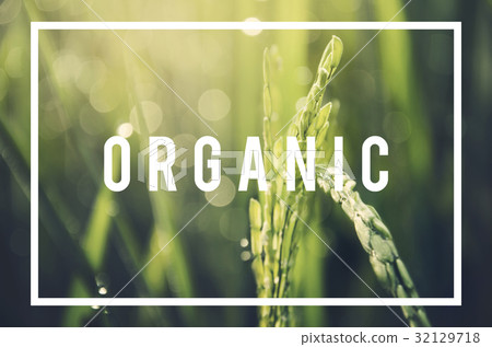 Alternative Farming Sustainable Nature Concept 32129718