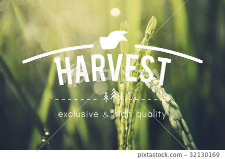 Alternative Farming Sustainable Nature Concept 32130169