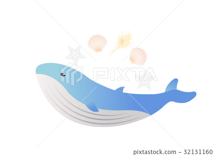Whale 32131160