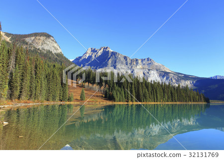 Landscape Landscape 32131769