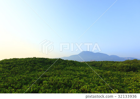 The Scenery 32133936