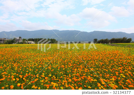 East of Taiwan 32134377