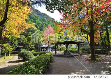Japan Japan 32135172