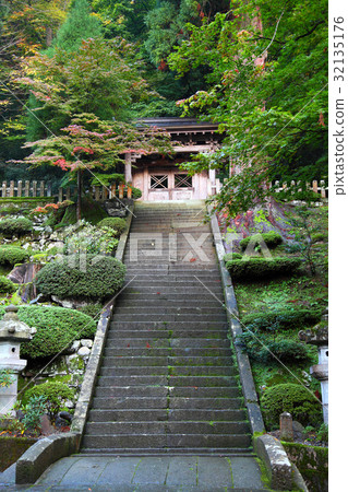Japan 32135176