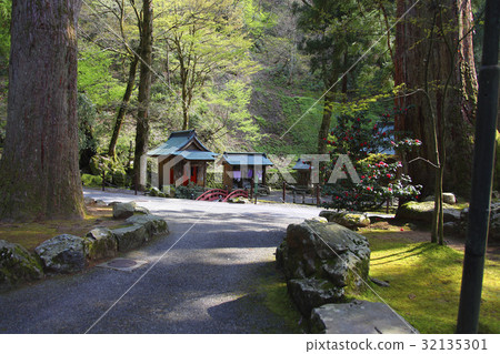 Japan 32135301