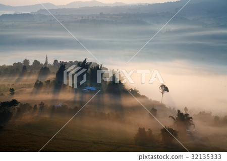 Fog in morning sunrise and road Fog in morning sunrise and road 32135333