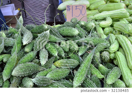 Bitter gourd 32138485