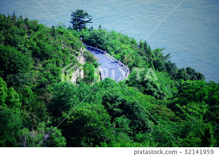 Road in the forest 32141959