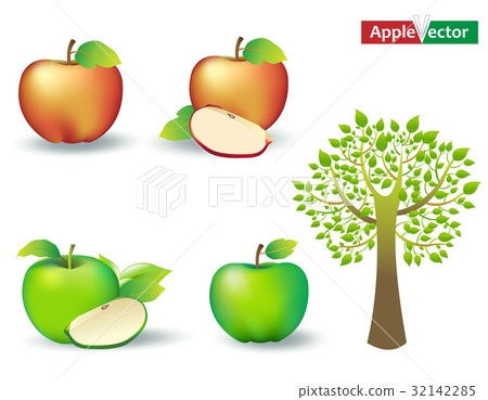 Apples and Apple tree Apples and Apple tree 32142285