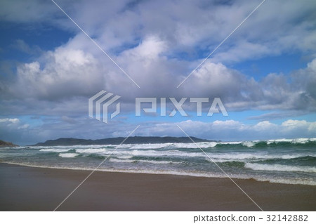 新西蘭斯圖爾特島 新西蘭斯圖爾特島 32142882